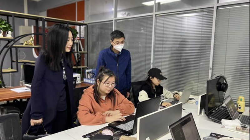 VI设计素材分类解析：价格背后的秘密