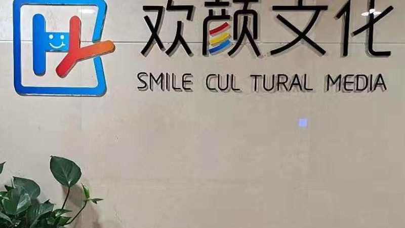 行业现状：定制服务市场日益细分，专业能力成为关键